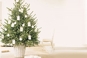 Árboles de Navidad Árboles de Navidad