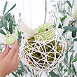 NIDOS DE PAJARITOS Original_nidos_cs