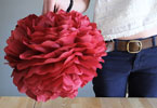 Original_pompon145