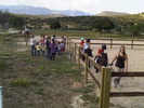 Cumples hípicos