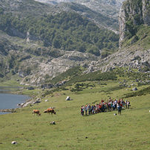 Campamentos de verano inglés y aventura Asturlang
