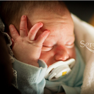 Fotógrafos:  Fotografía artística de bebés.