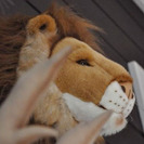 Ideas para decorar Dormitorios infantiles. Vivir en la selva