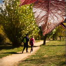 Parque para ir con niños y cochecitos de bebé. Parque de Polvoranca en Leganés