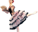 El Baúl de la Danza: La más completa Tienda Online de Danza.