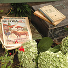 Libros escolares de antaño. Exposición para niños en Salamanca