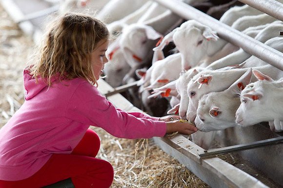 Los niños aprenderán dando de comer a los animales