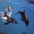 Terapia con delfines para niños autistas