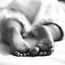 Taller de desarrollo de la inteligencia emocional del bebe
