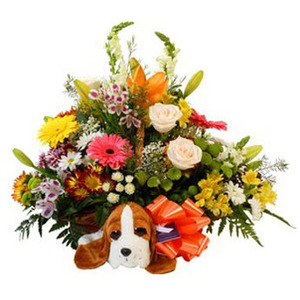 Gran cesta de flores para Nacimiento