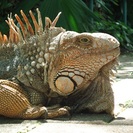 INBIOPARQUE en Costa Rica