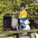 Circuito de ponys en Faunia
