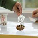 Barcos de papel con nueces