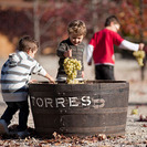 Vendimia en familia en las Bodegas Torres
