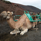 Lanzarote, alojamientos ecológicos	