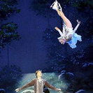 "El lago de los cisnes sobre hielo" llega al Barcelona Teatre Musica