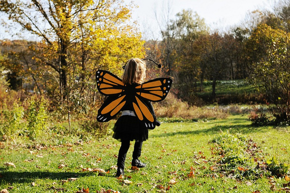 Como disfrazarse de mariposa