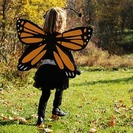 Disfraz de Mariposa hecho en casa