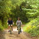 Excursión para niños con bici o en la sillita en Palma de Mallorca