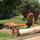 Dinosaurios interactivos para niños en el Zoo Aquarium de Madrid