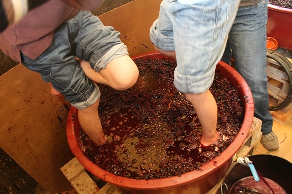 disfruta de una vendimia con niños