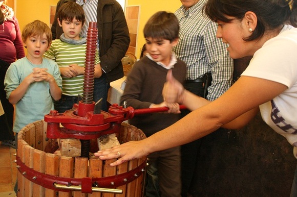 Aprende el proceso de la uva, actividad con niños