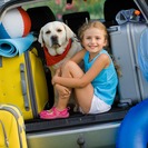 10 juegos entretenidos para viajar en coche