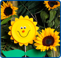 Un girasol con Nesquik