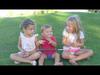Canciones infantiles: Pica pica pollito